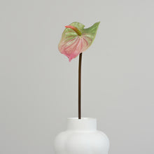 Indlæs billede til gallerivisning Kunstig blomst | Anthurium | Grøn/pink
