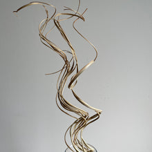 Indlæs billede til gallerivisning Palm swirl, natur (10 stk.)
