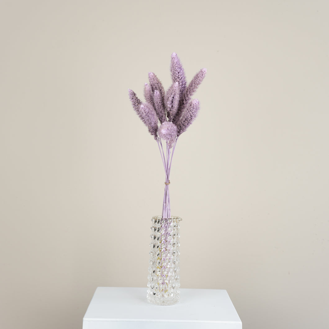 Tørrede blomster | Setaria, pastel lilla (10 stk.)