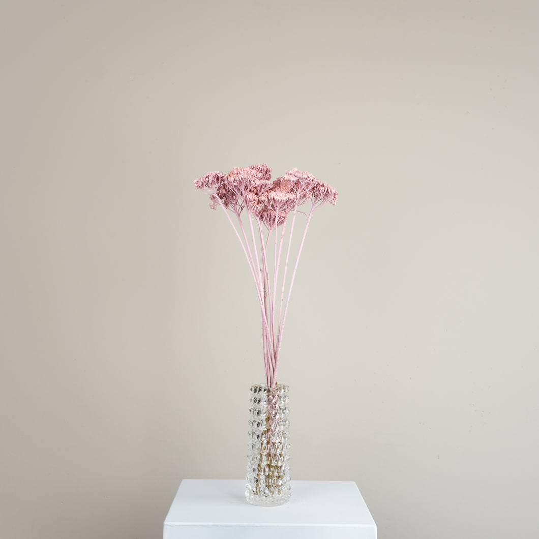 Tørrede blomster | Achillea, lyserød (10 stk.)