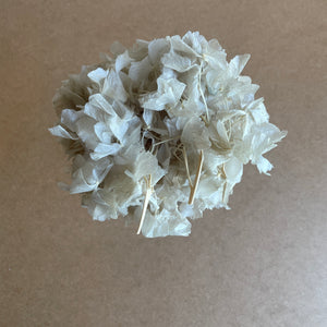 Hortensia u. stilk, beige (20 gram)