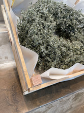 Indlæs billede til gallerivisning Evighedskranse: Asparagus krans, tørret, oliven dust
