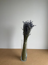 Indlæs billede til gallerivisning Lavendel (bundt)
